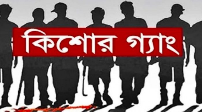 কিশোর গ্যাং