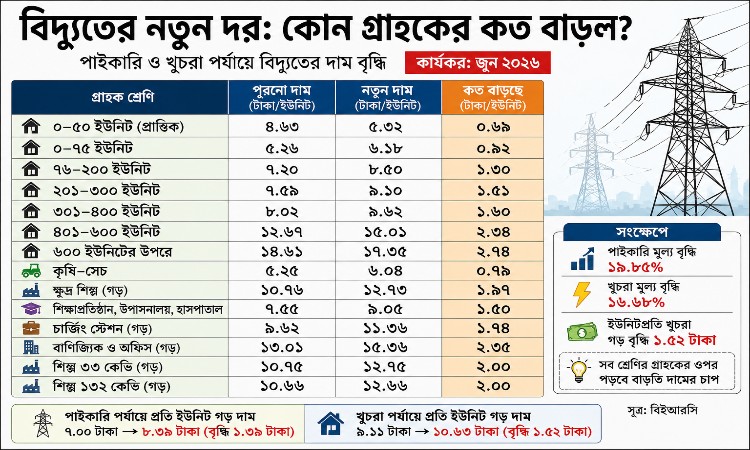 বিদ্যুতের দাম